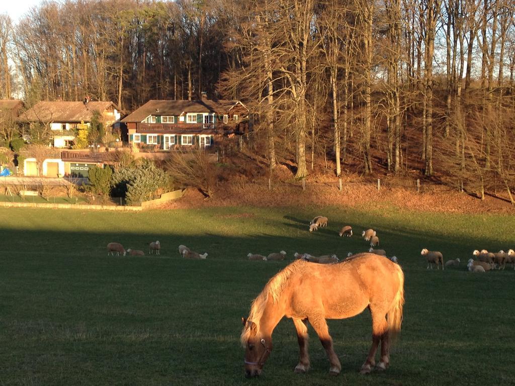 Gastezimmer Am Buchenhain Unterbüchlein Esterno foto